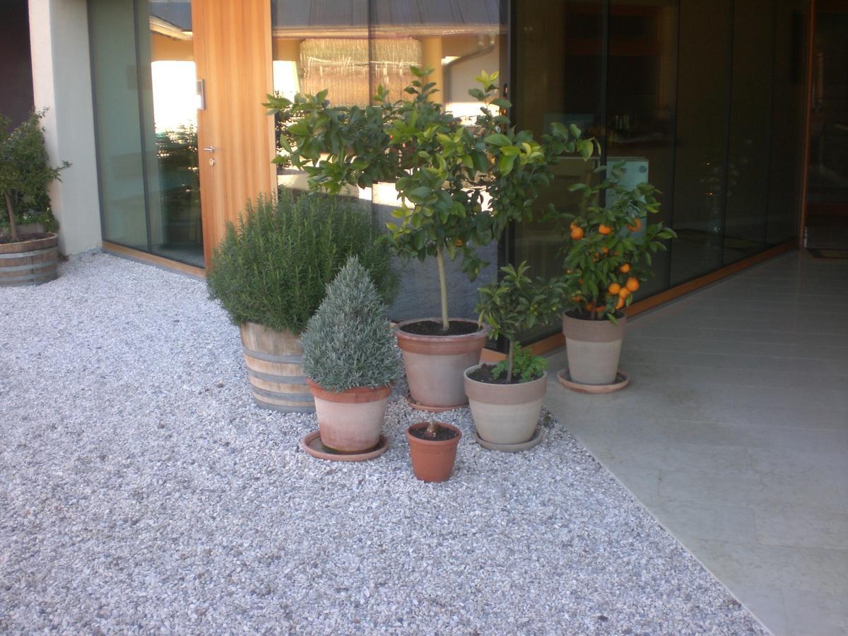 Apartament Biobauernhof St. Quirinus Caldaro Zewnętrze zdjęcie
